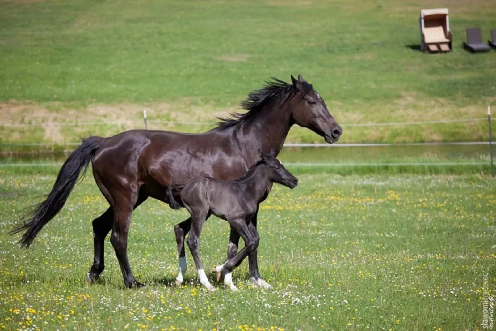 Chalet - 2 Personen-Gebieden zomer 1km