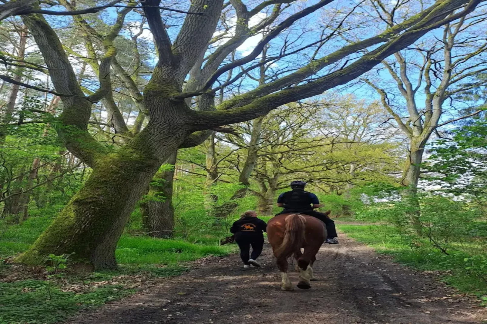 Chalet - 3 Personen-Gebieden zomer 1km