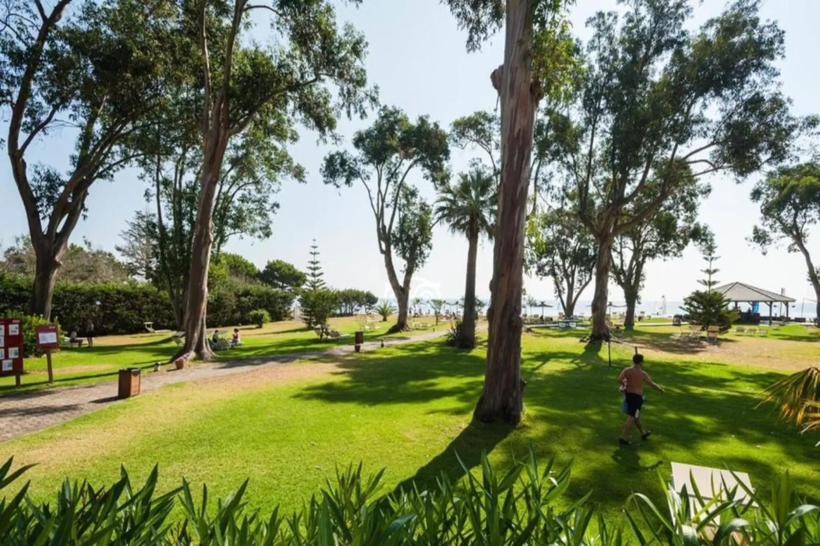 Alizé-Gebieden zomer 1km