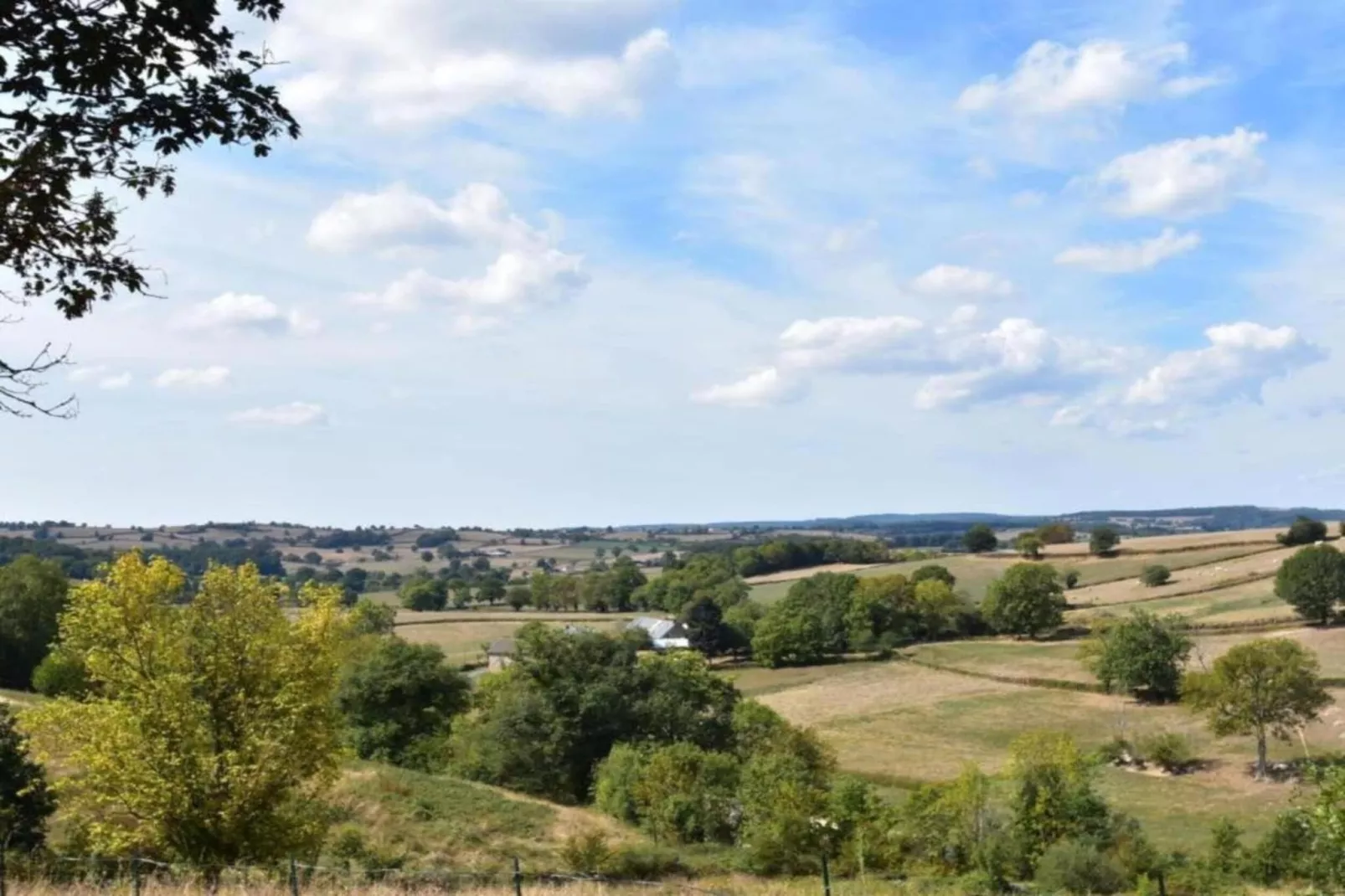 Gite 6 pers Bellevue - Le-Chardonneret-Gebieden zomer 20km