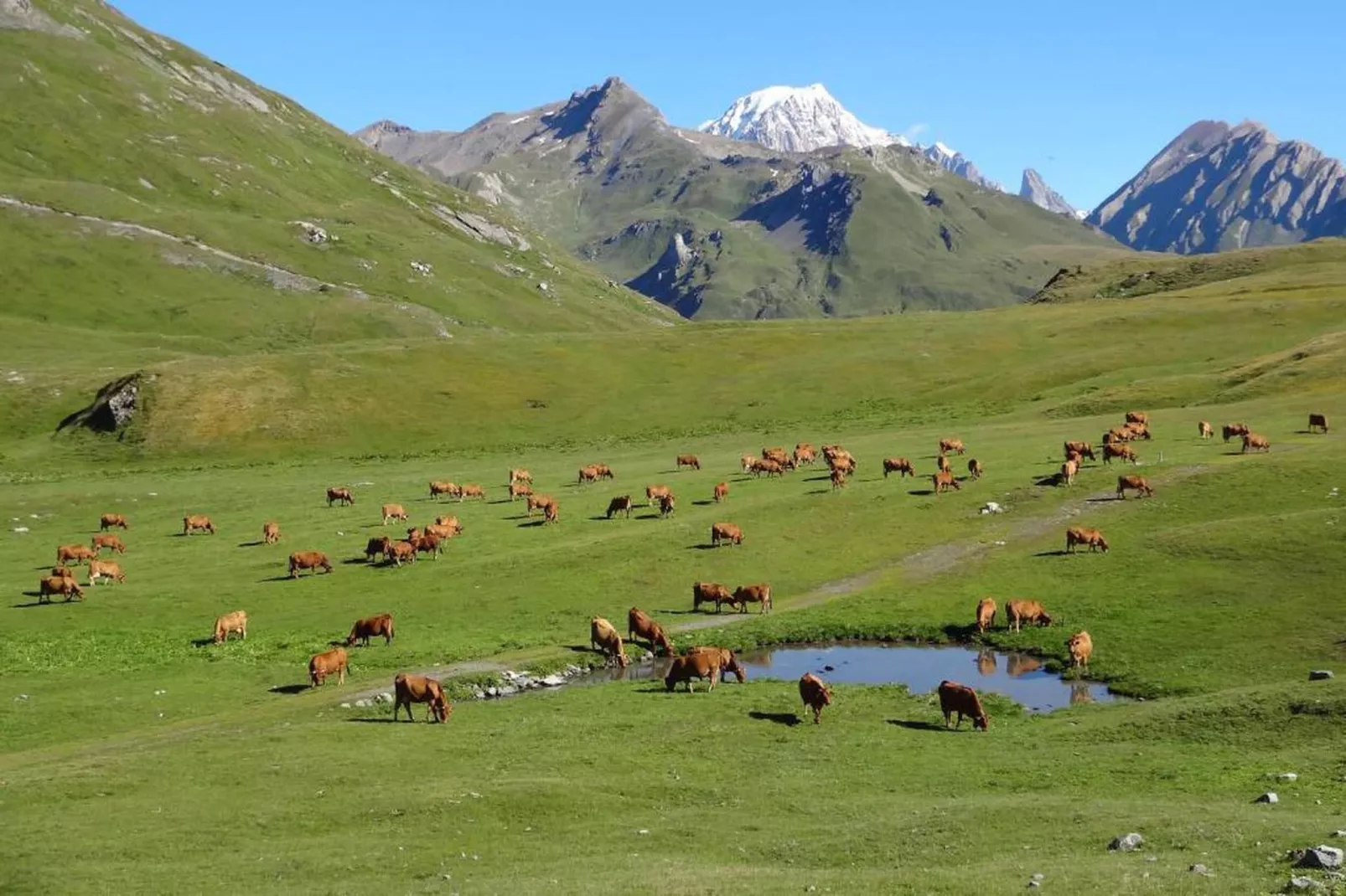 Chalet Le Refuge 2-Gebieden zomer 20km
