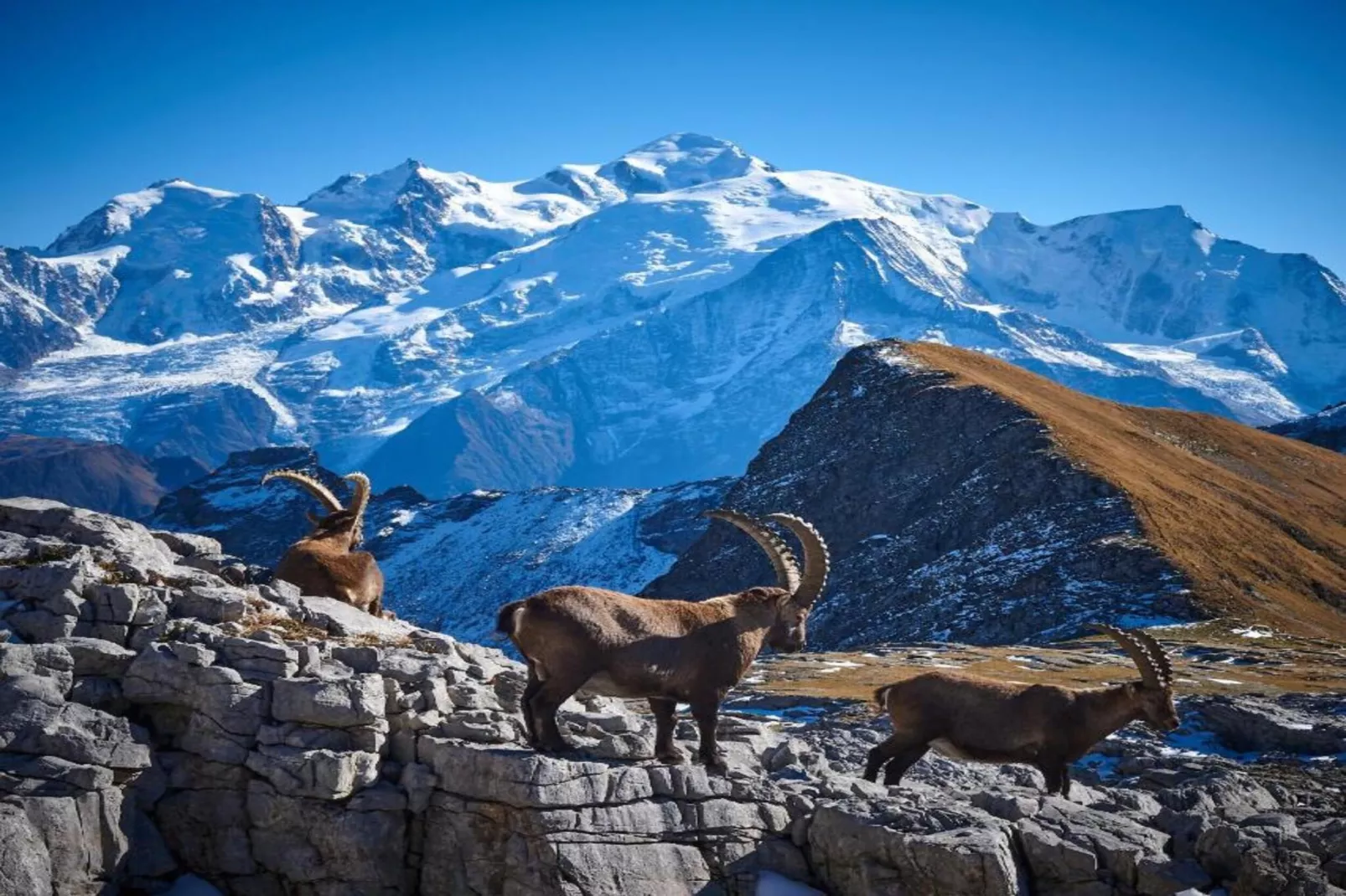 Les Portes du Grand Massif 3-Gebied winter 5km