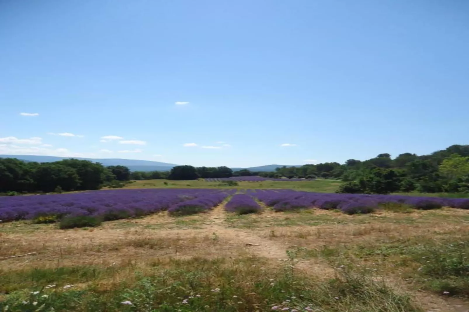 Villa Hyeres-Gebieden zomer 20km