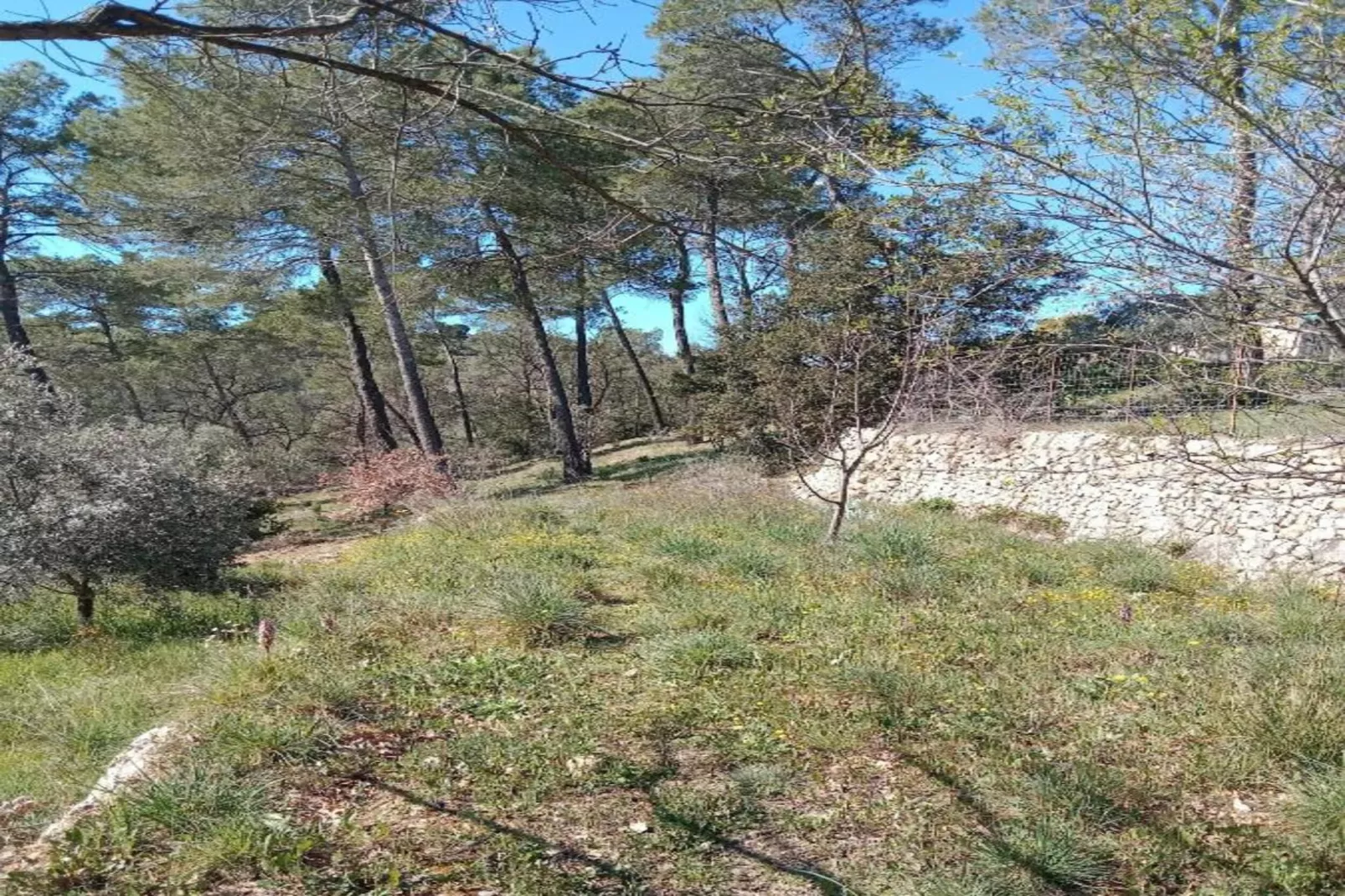 Villa Nakato-Gebieden zomer 20km