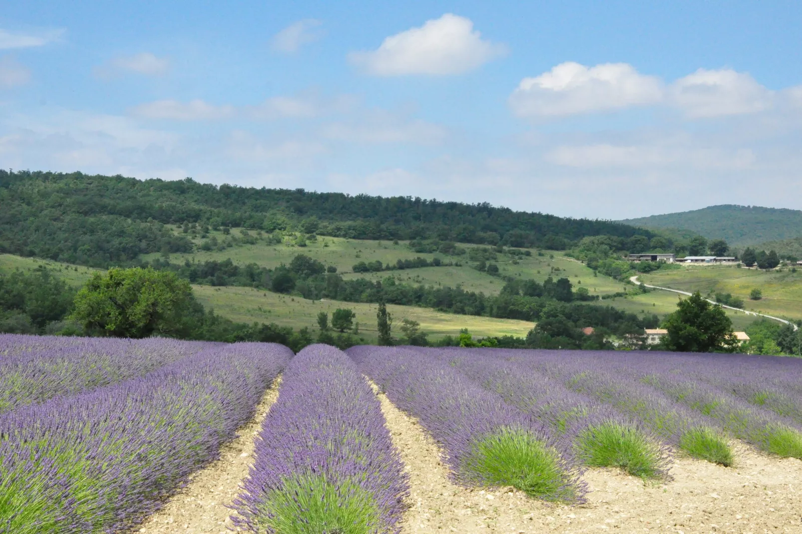Villa Vida - Gebieden zomer 20km