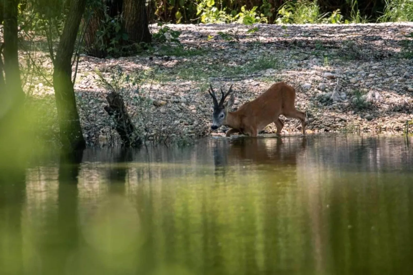Blue Paradise Villa-Gebieden zomer 20km