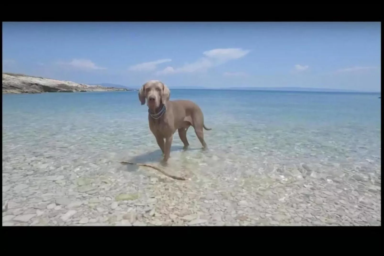 Apartment Dora-Gebieden zomer 20km