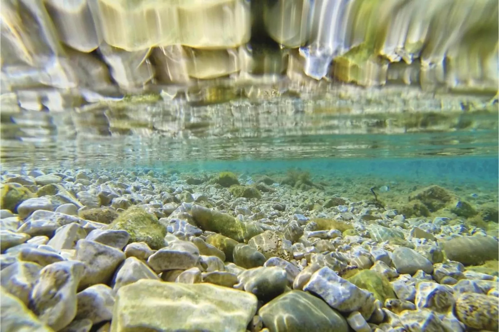 Federica-Gebieden zomer 20km