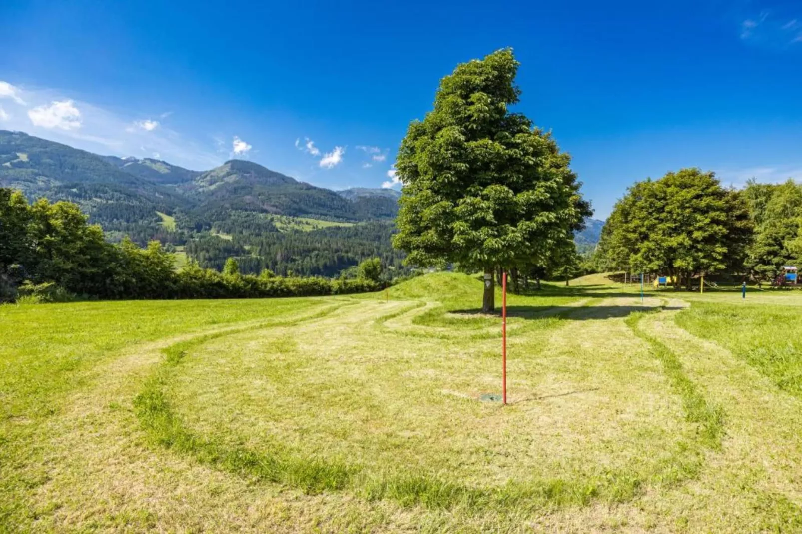 Negritella Trilo Sei-Gebieden zomer 20km