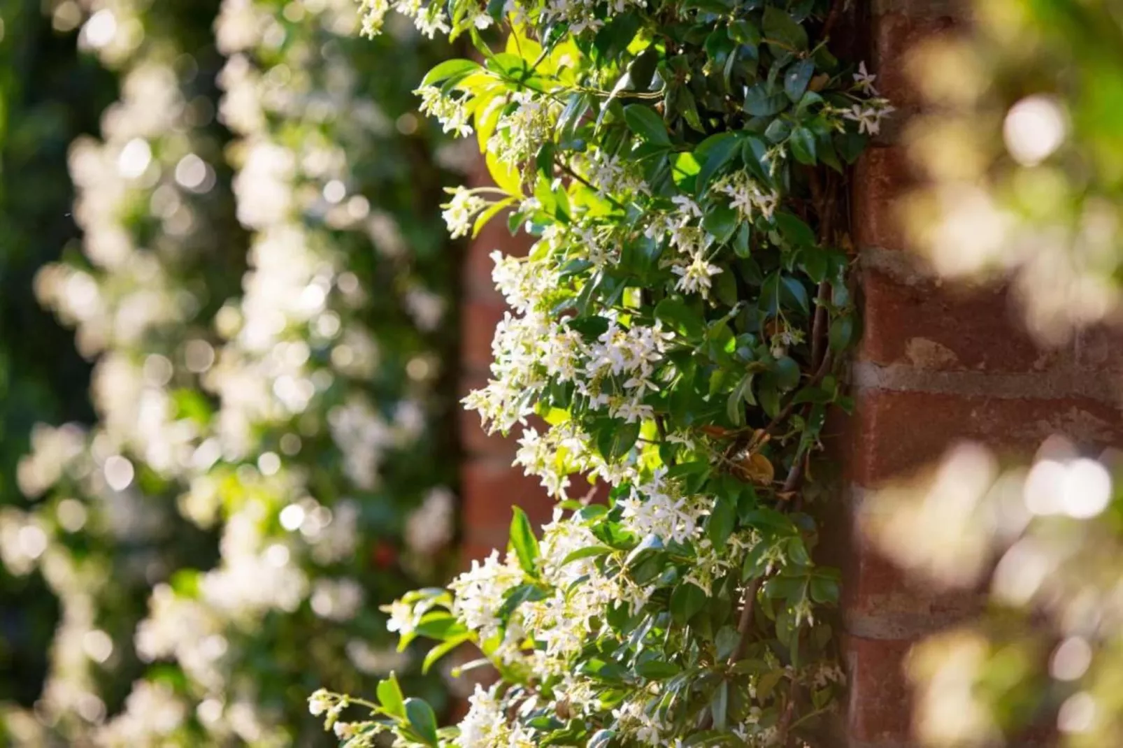 Villa Anita-Gebieden zomer 20km