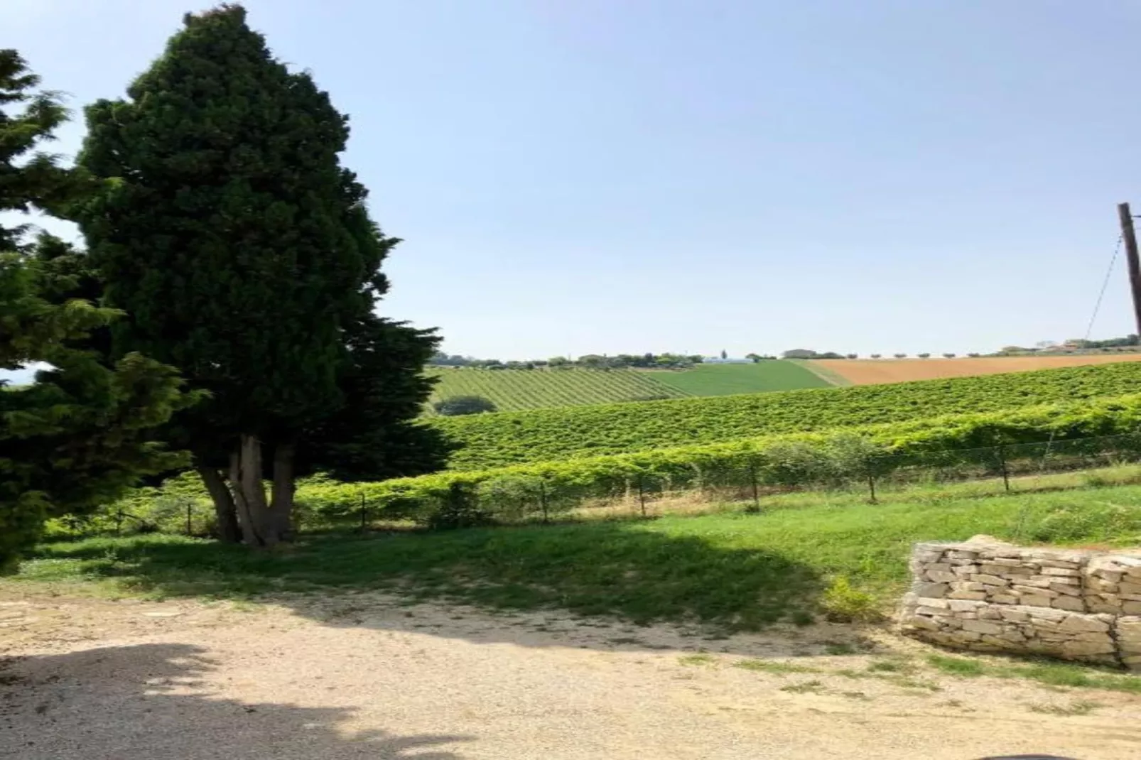 Peperoncino-Gebieden zomer 5km