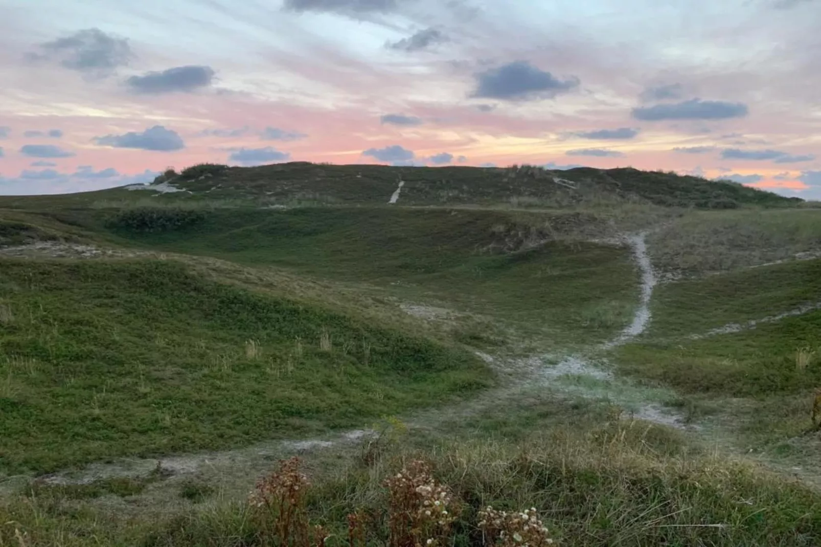 Residentie Californië 1-Gebieden zomer 20km