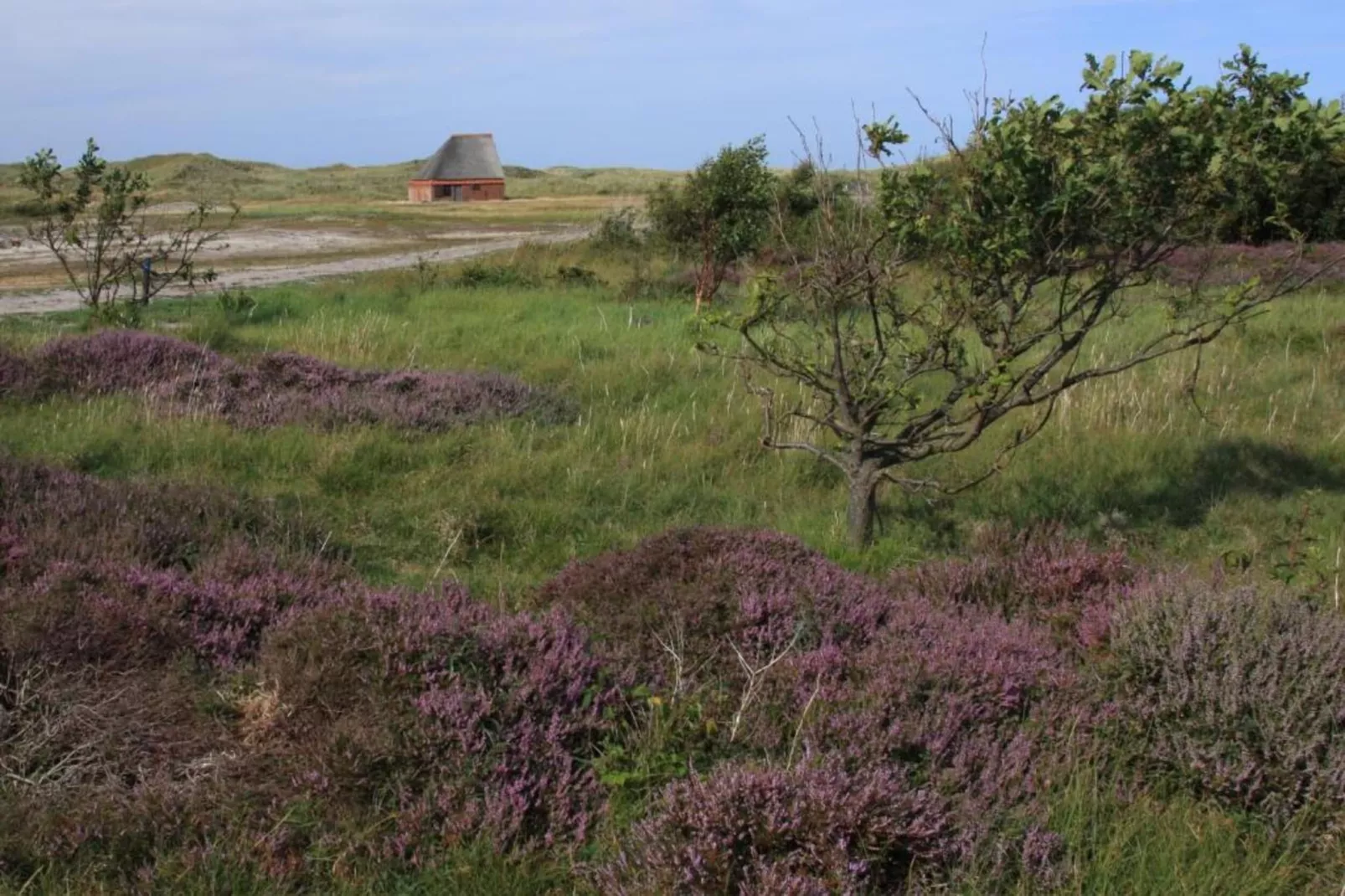 Residentie Californië 3-Gebieden zomer 20km