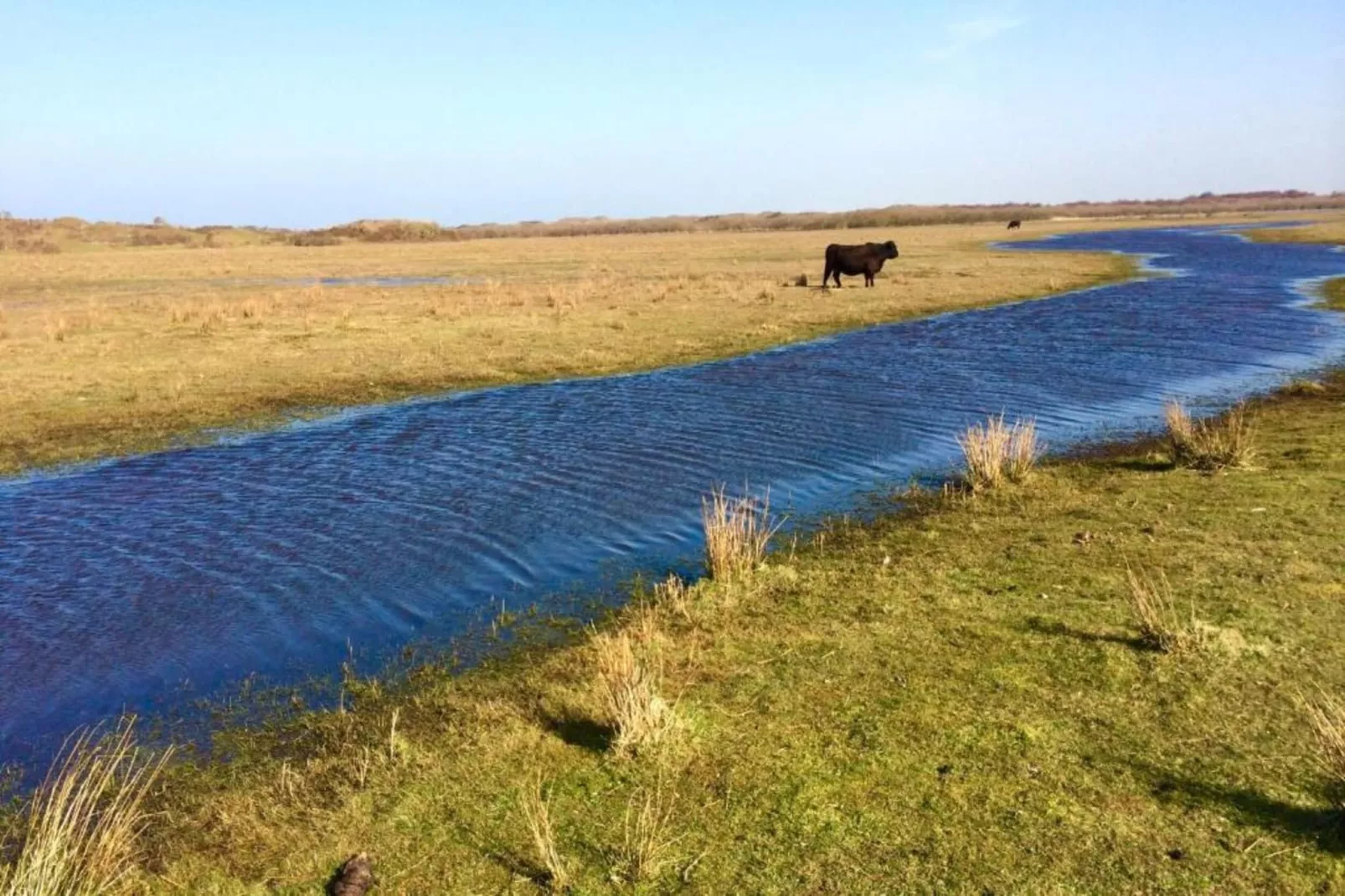 't Hoogelandt 1-Gebieden zomer 20km