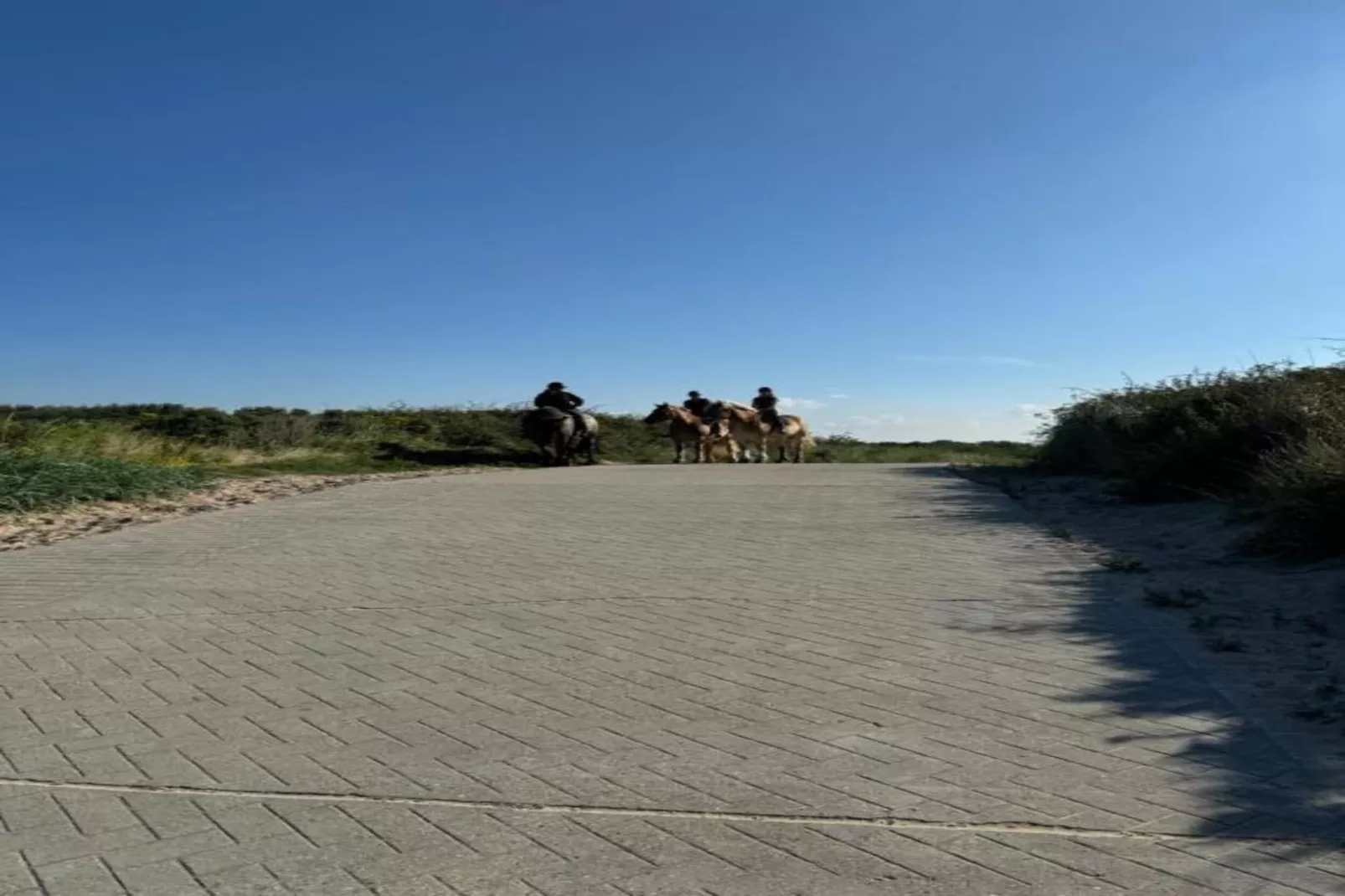Noordzee Résidence Dishoek 4-Gebieden zomer 5km