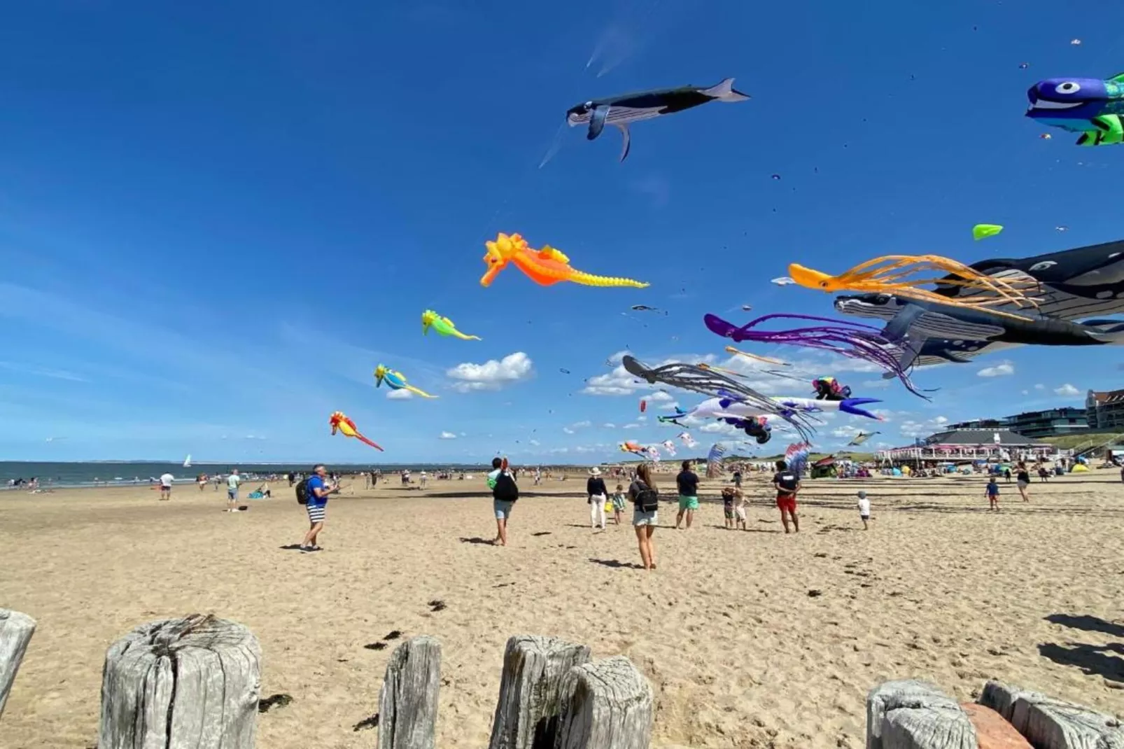 Beach Resort Nieuwvliet-Bad 16-Gebieden zomer 20km