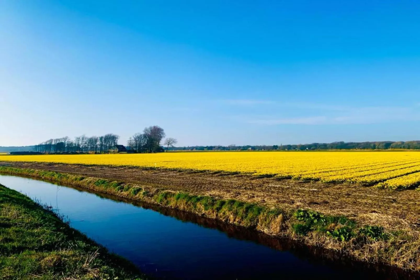 Hof van Craeck I-Gebieden zomer 20km