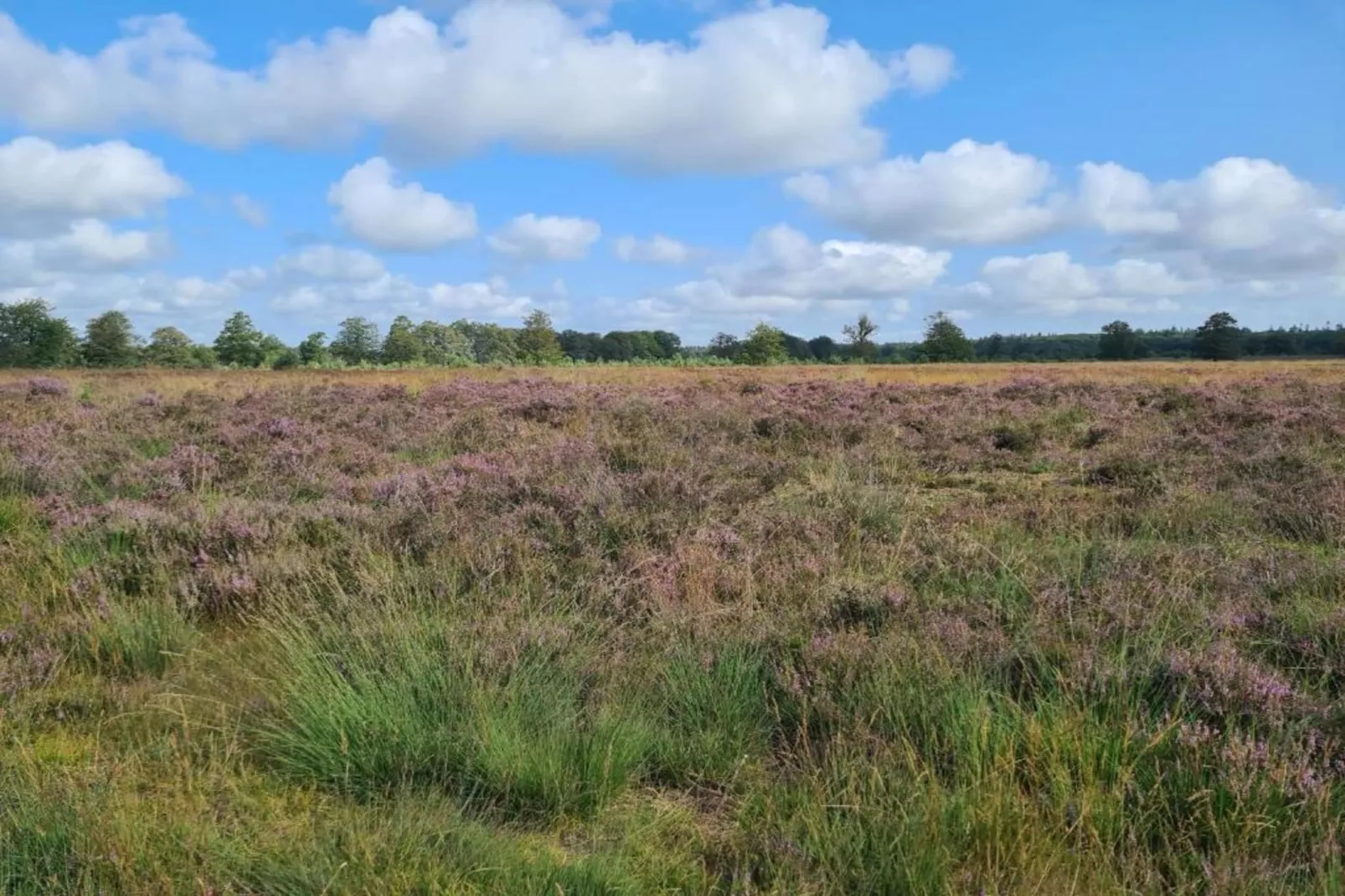 De Kibbelhoeve-Gebieden zomer 20km