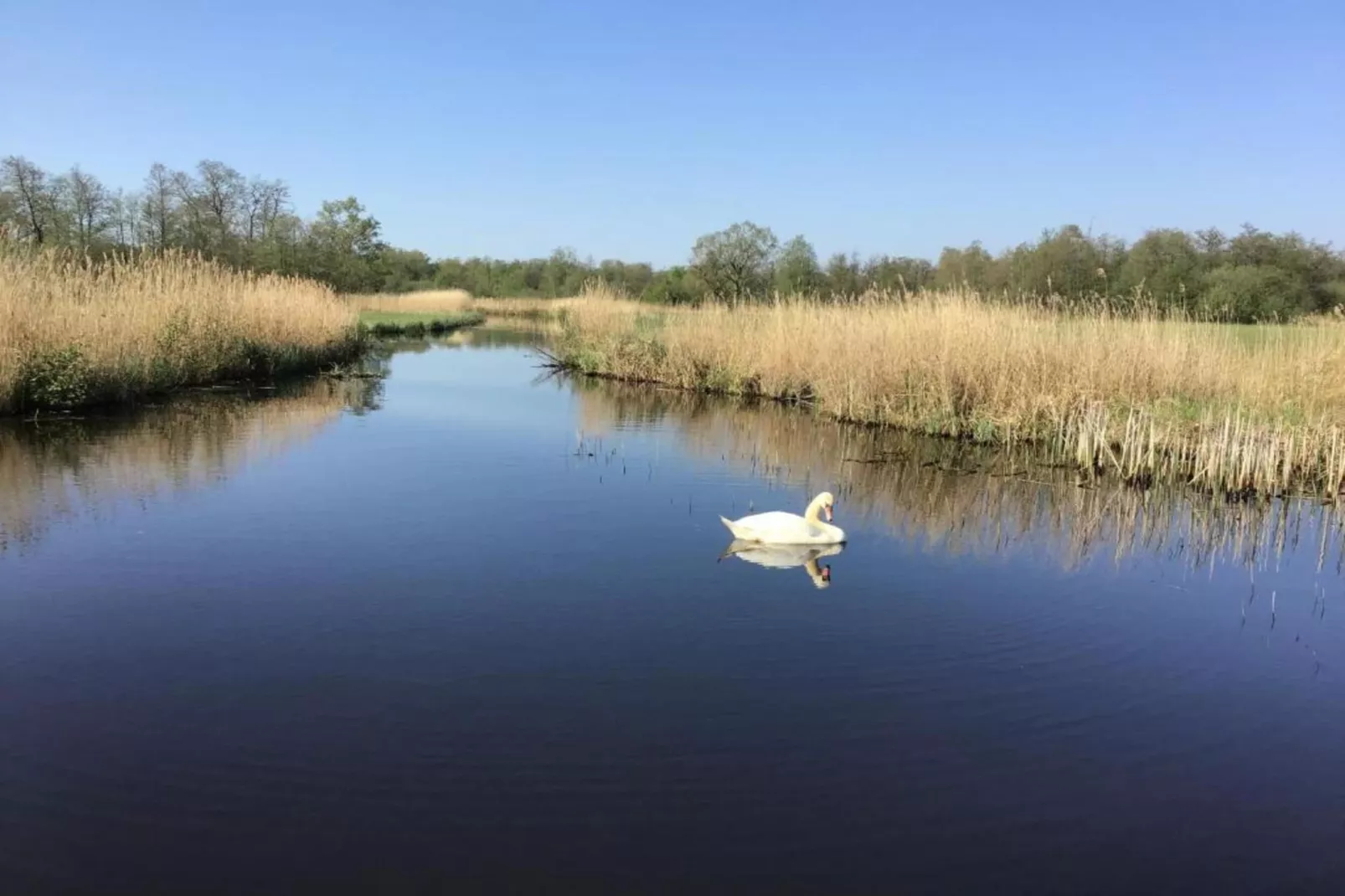 Waterpark Belterwiede 1-Gebieden zomer 20km