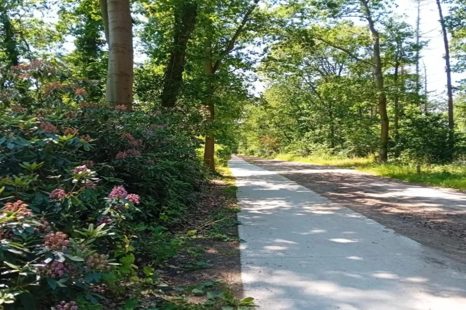 Residence De Eese 16-Gebieden zomer 20km