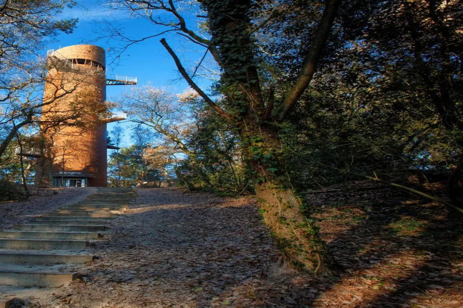 RCN Vakantiepark de Roggeberg 8-Gebieden zomer 20km