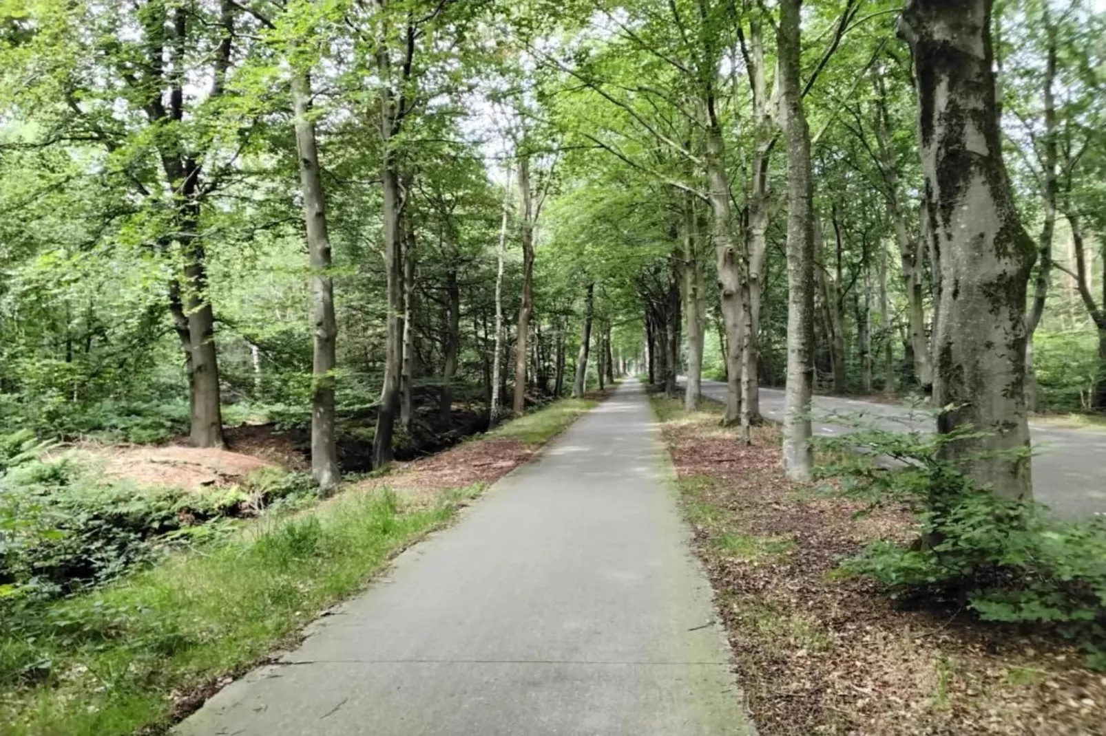 Recreatiepark Idskenhuizen 10-Gebieden zomer 20km