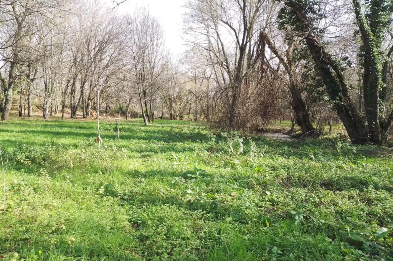 Casa Oliveirinha-Gebieden zomer 20km