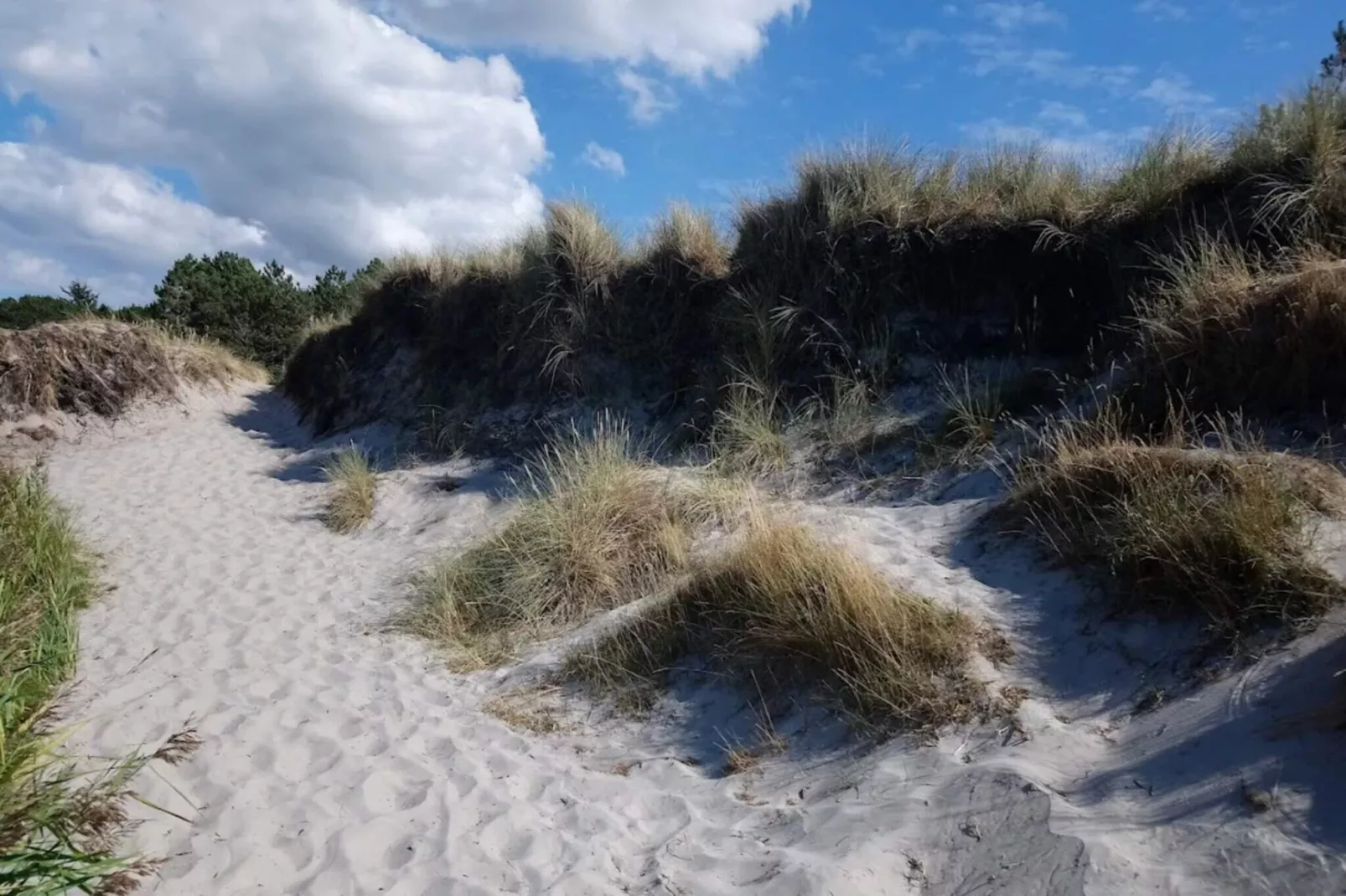 5 persoons vakantie huis in Læsø-Niet-getagd
