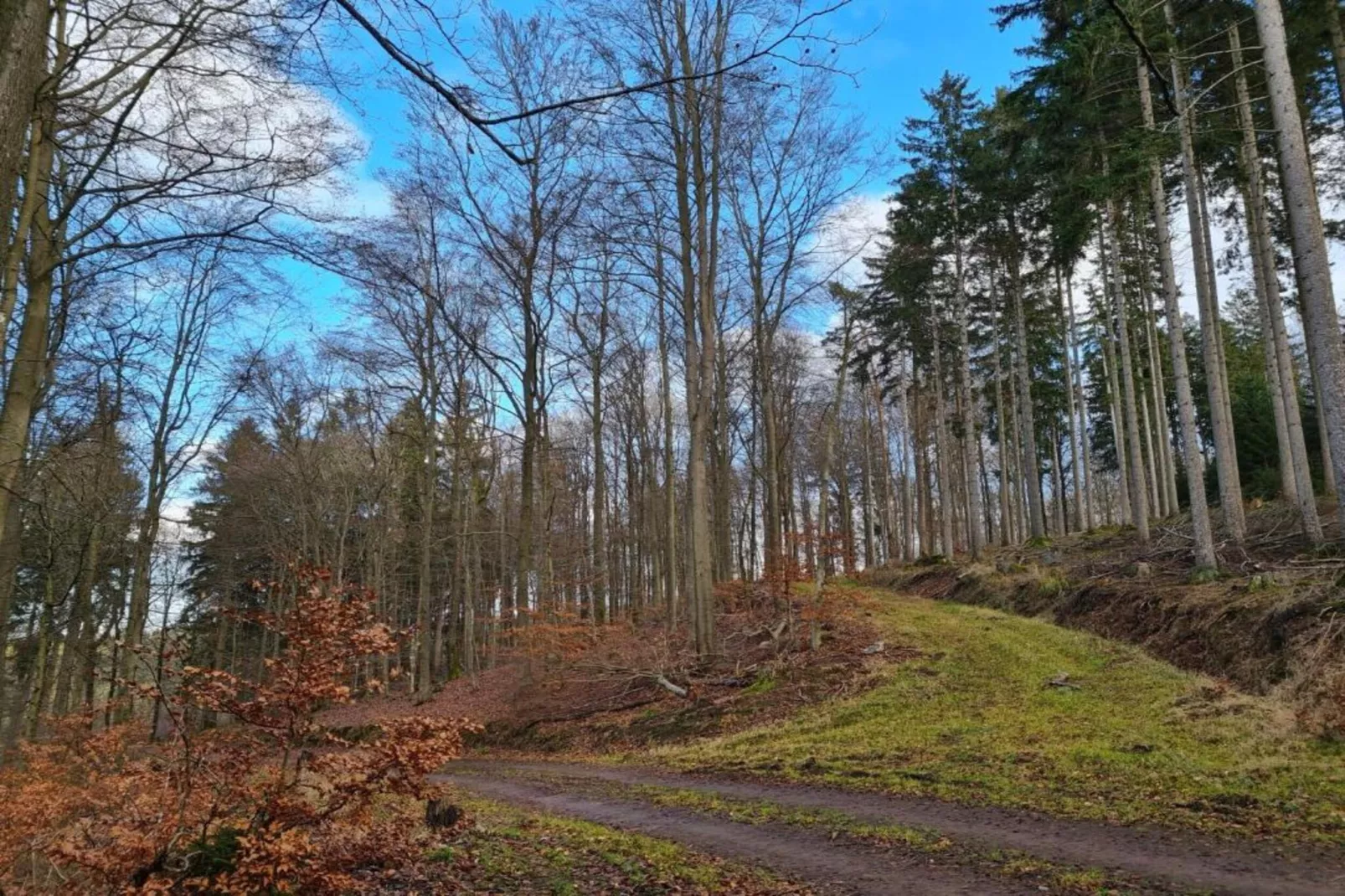 Ferienwohnung Gottschalk Beilngries-Gebieden zomer 20km