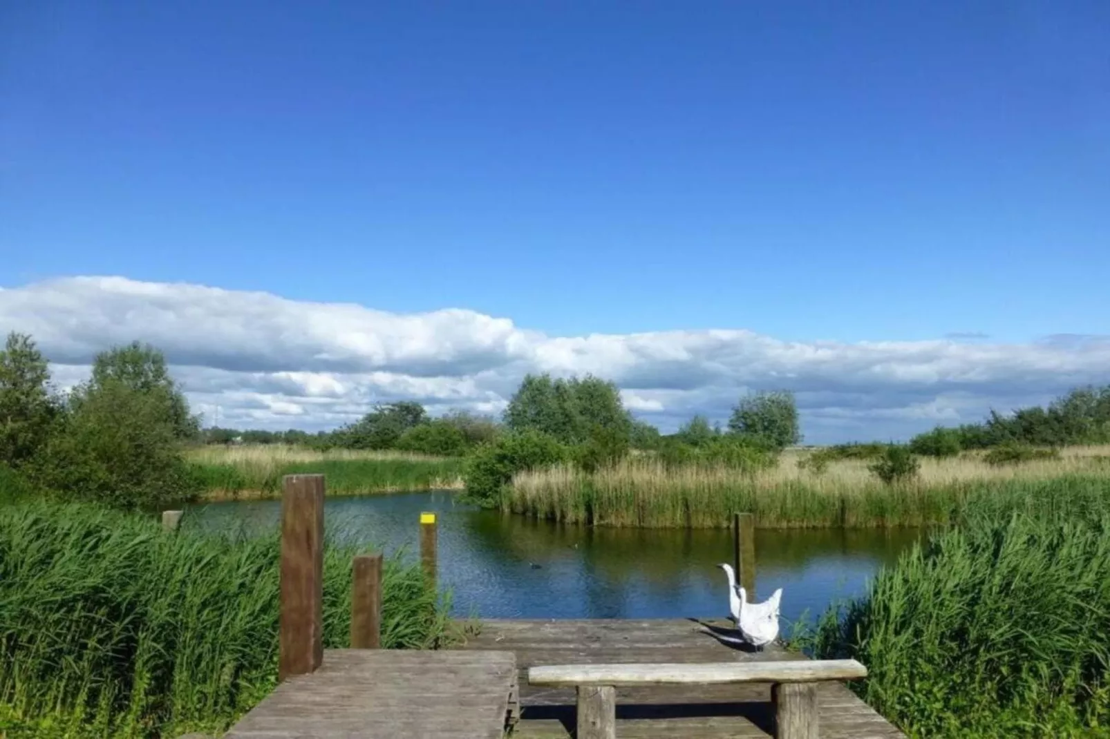 Beach Resort Makkum 27-Gebieden zomer 5km