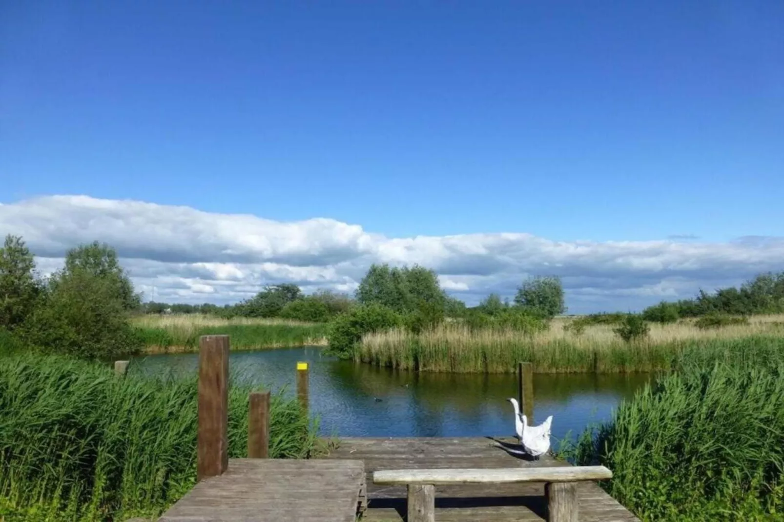 Beach Resort Makkum 24 - Gebieden zomer 5km