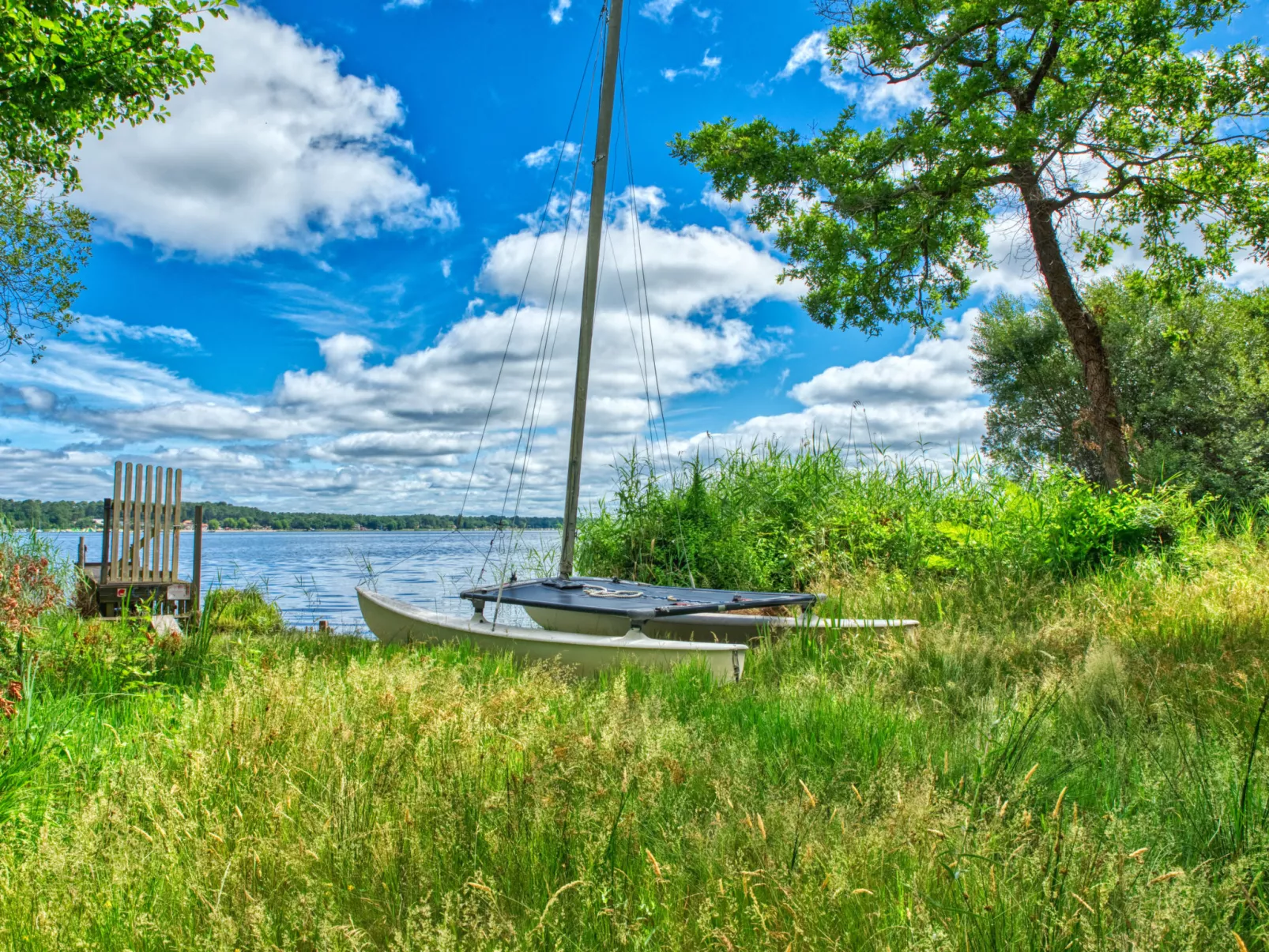 Cottage Etoile de mer-Omgeving