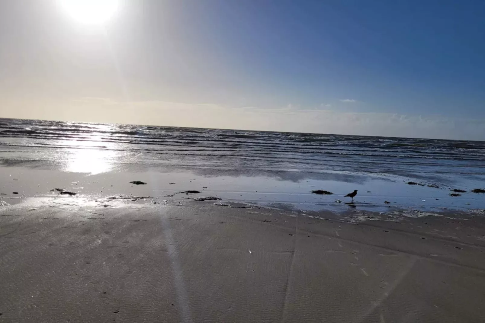 4 persoons vakantie huis in Blåvand-By Traum-Waterzicht