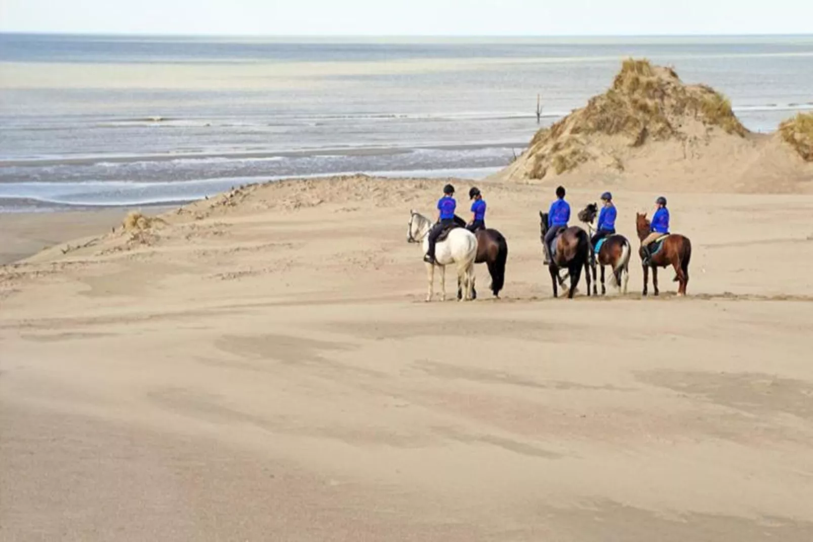 Soeteland 0202 6-Gebieden zomer 20km