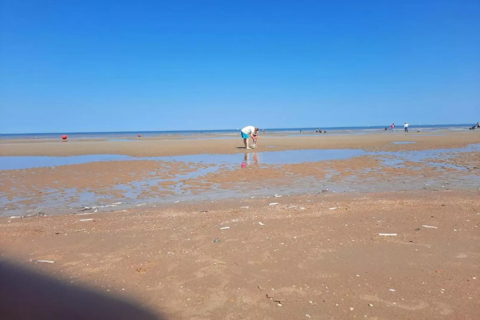 Les petrels 202 g-Gebieden zomer 1km