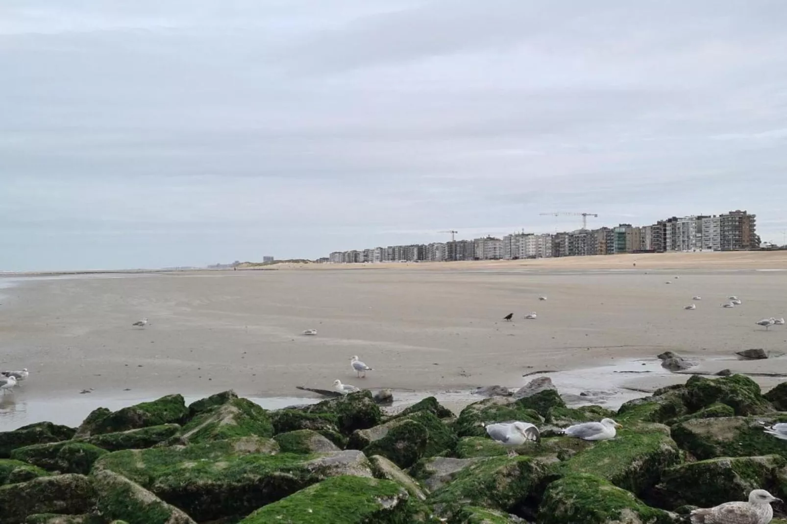 Seahouse 102-Gebieden zomer 1km