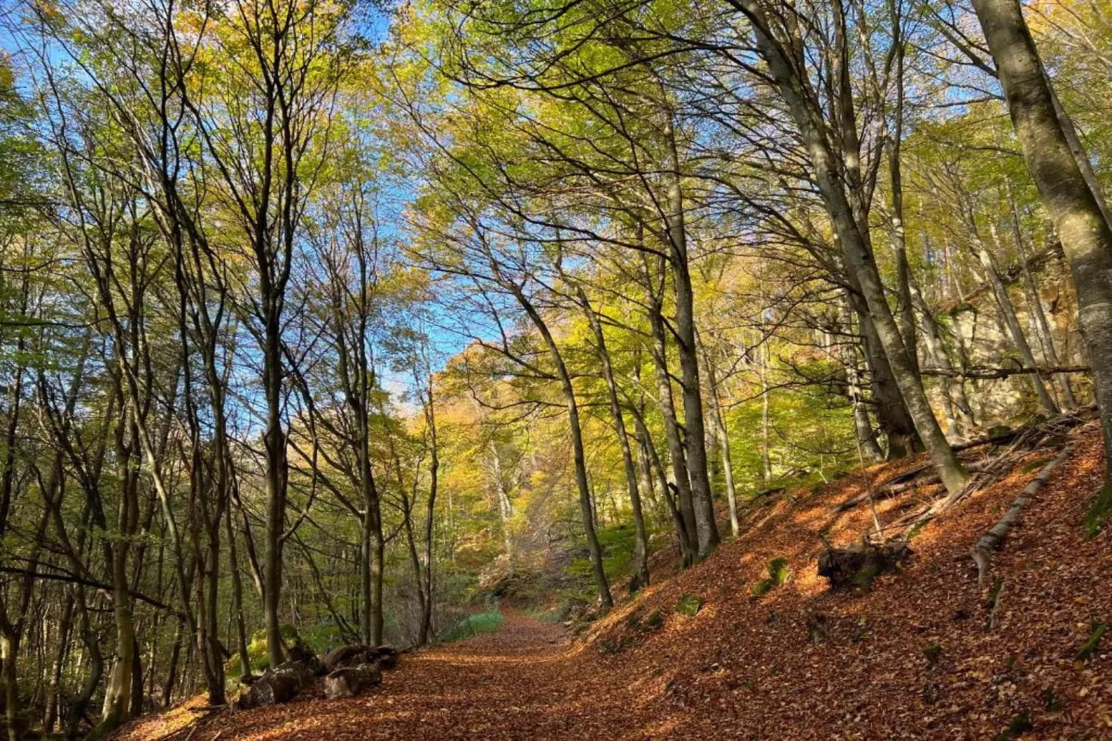 Resort Echternacherbrück 1-Gebieden zomer 20km
