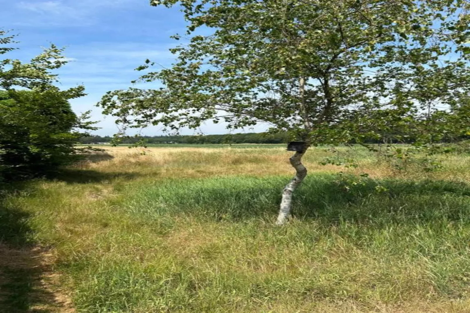 Residence De Eese 3-Gebieden zomer 20km