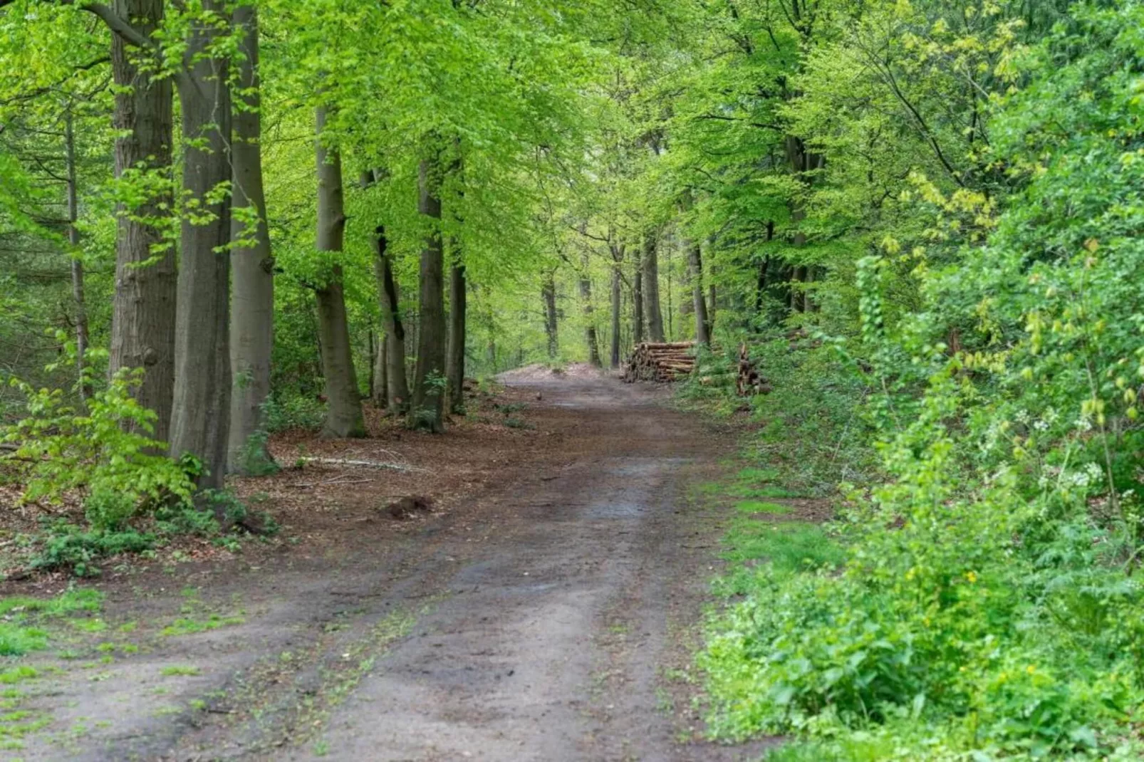 Vakantiewoning het Bakhuis Zeumershof 4 pax-Gebieden zomer 5km