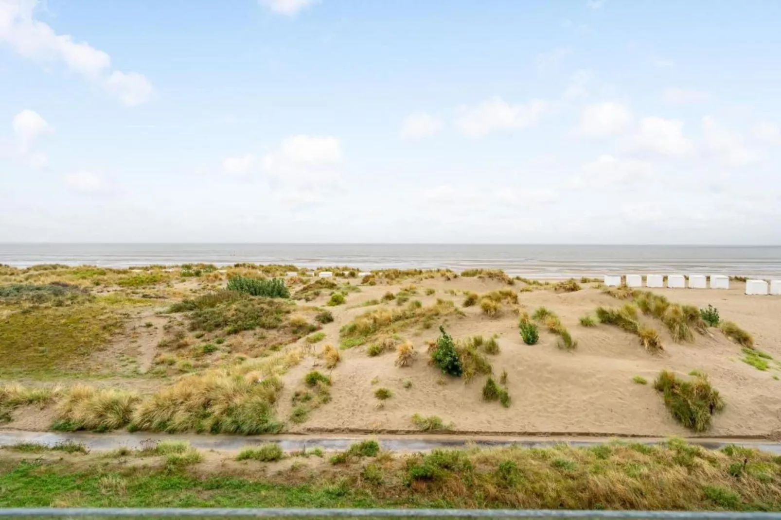 PLAZA A1/A1A12-Gebieden zomer 5km