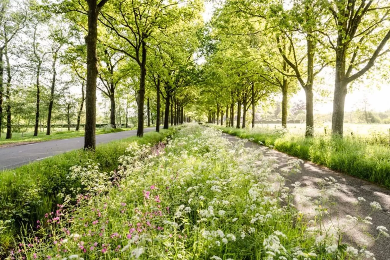 Boerderij De Wilgen-Gebieden zomer 5km