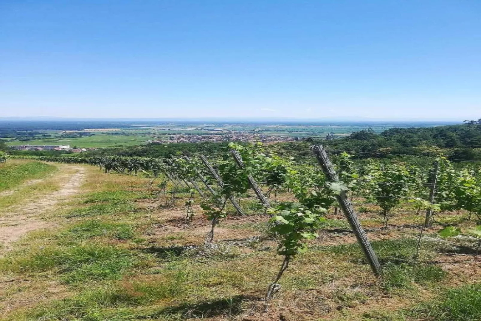 Magnifique Appartement Alsacien-Gebieden zomer 20km