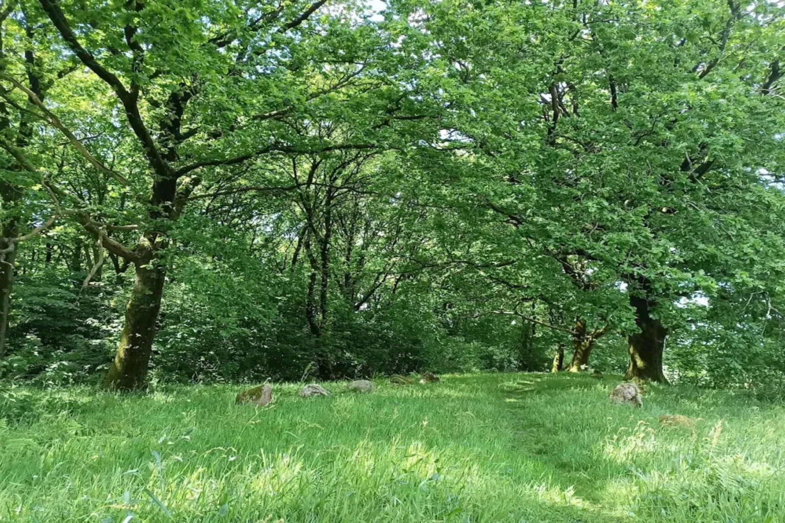 5 sterren vakantie huis in Hovborg-By Traum-Niet-getagd