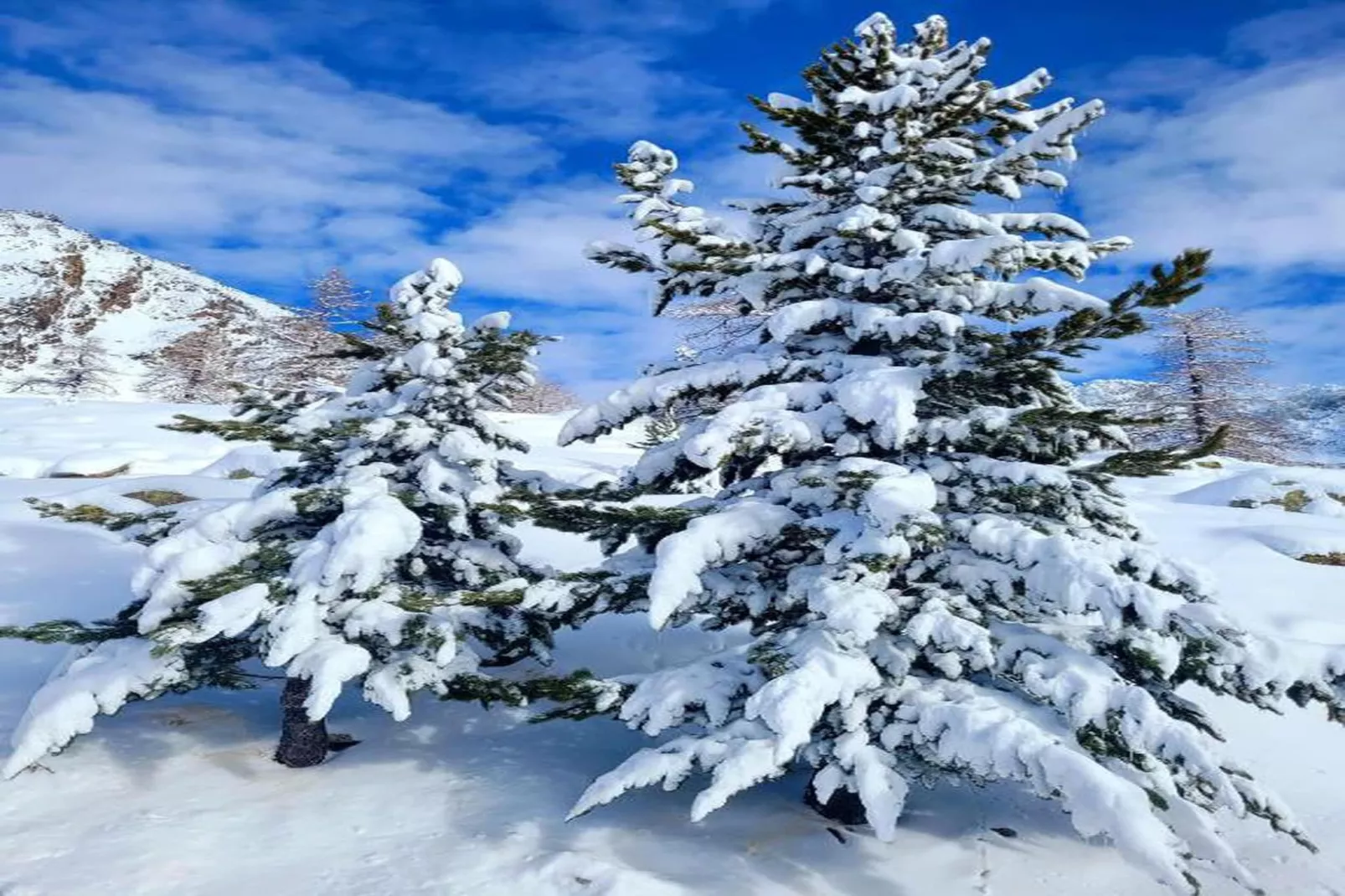 Les Terrasses d'Isola 1-Gebied winter 20km