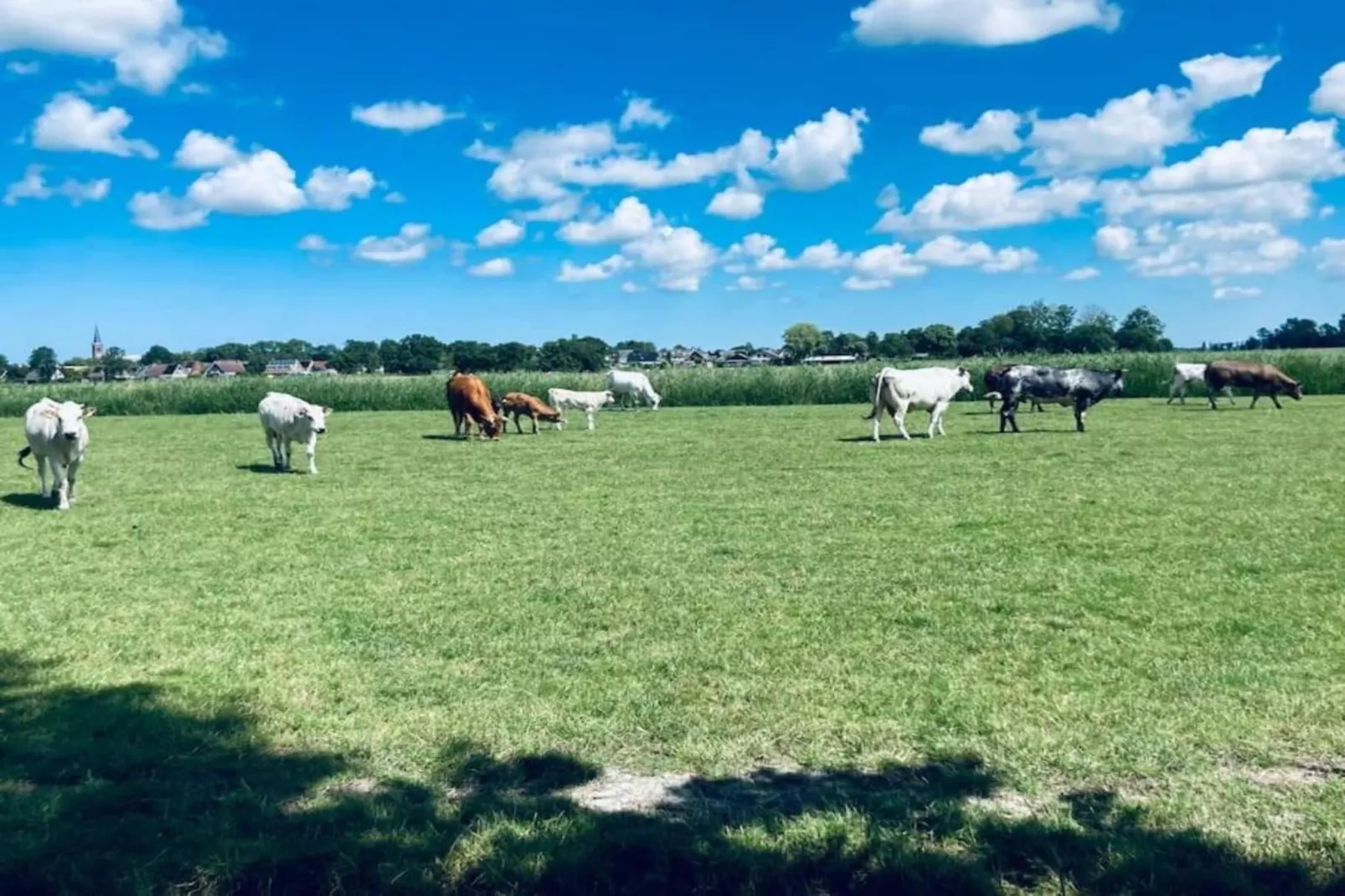 Huisje 'In de Tuin' B-Gebieden zomer 20km