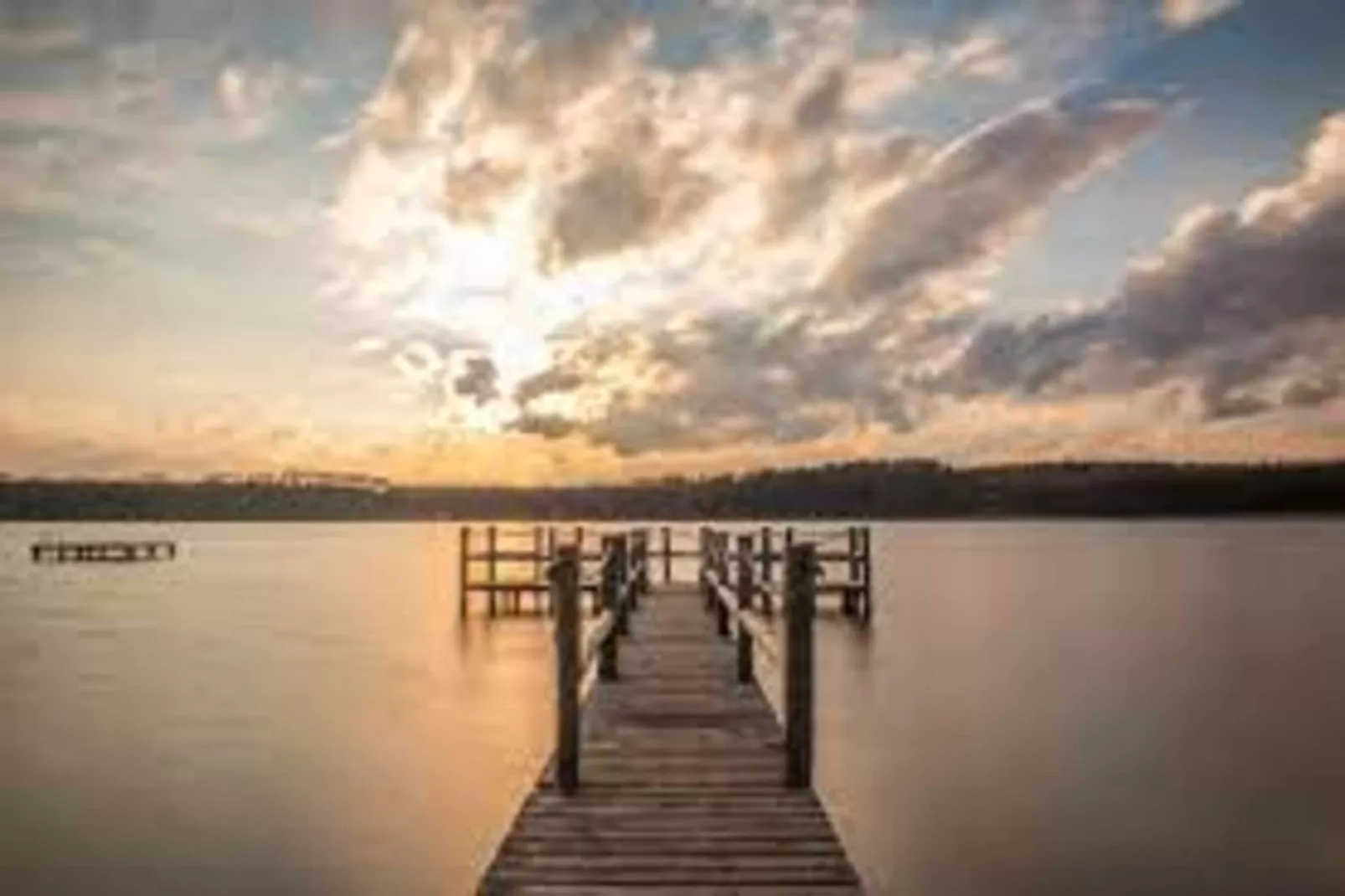 Wildgans Classic 246-Gebieden zomer 1km