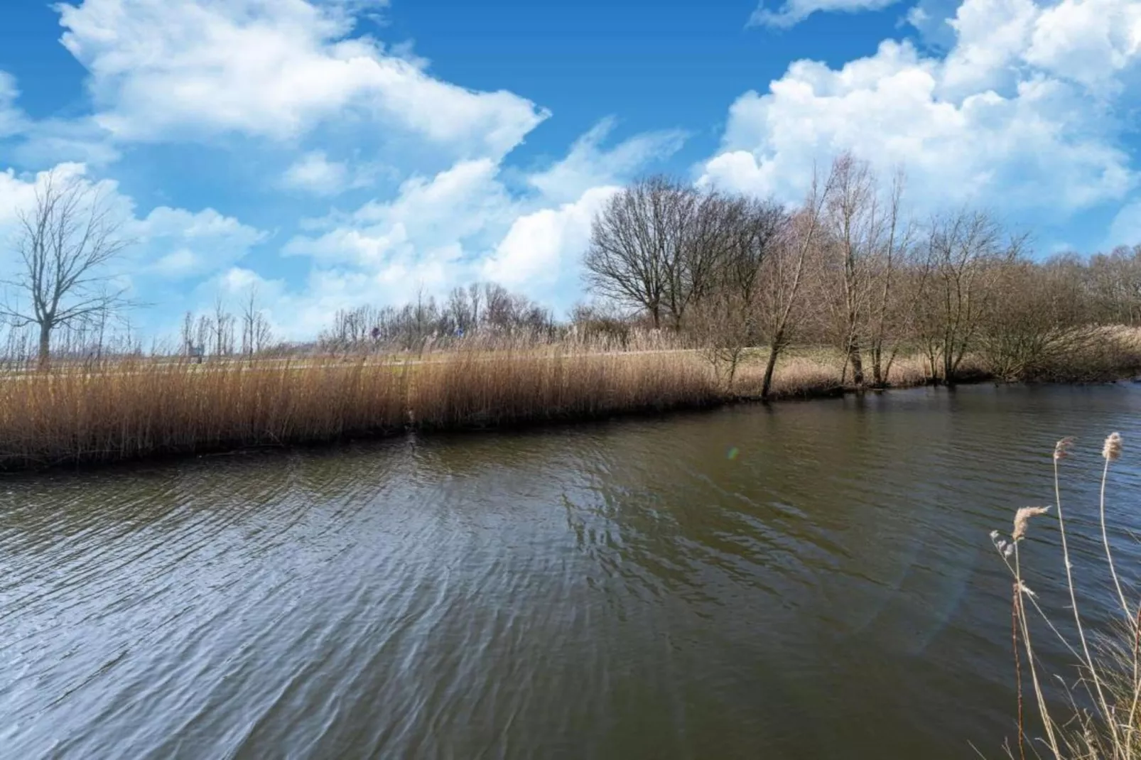 Standaard 337 - Gebieden zomer 20km