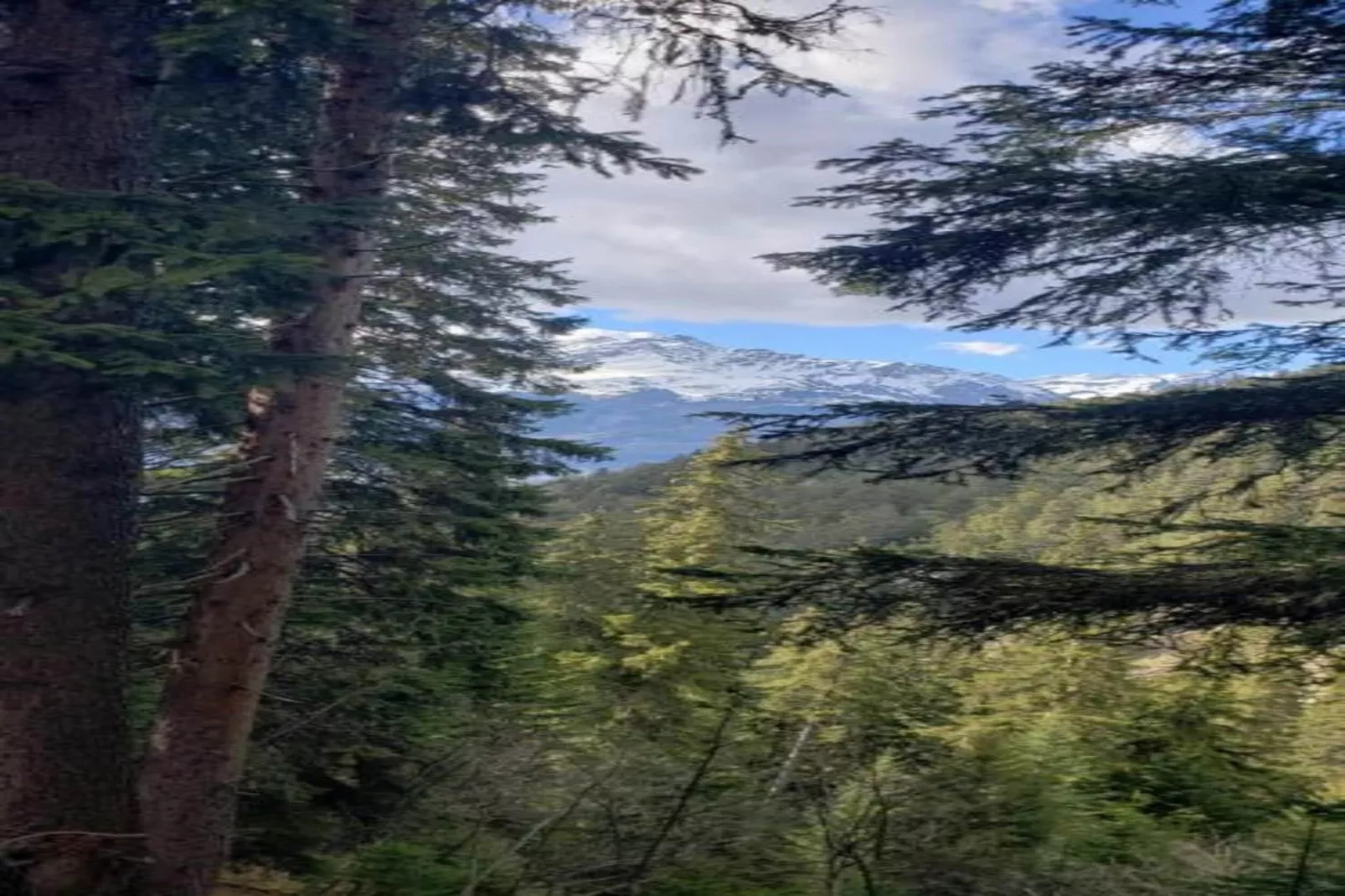 LA TURRA N°301 - 3P6-Gebieden zomer 20km