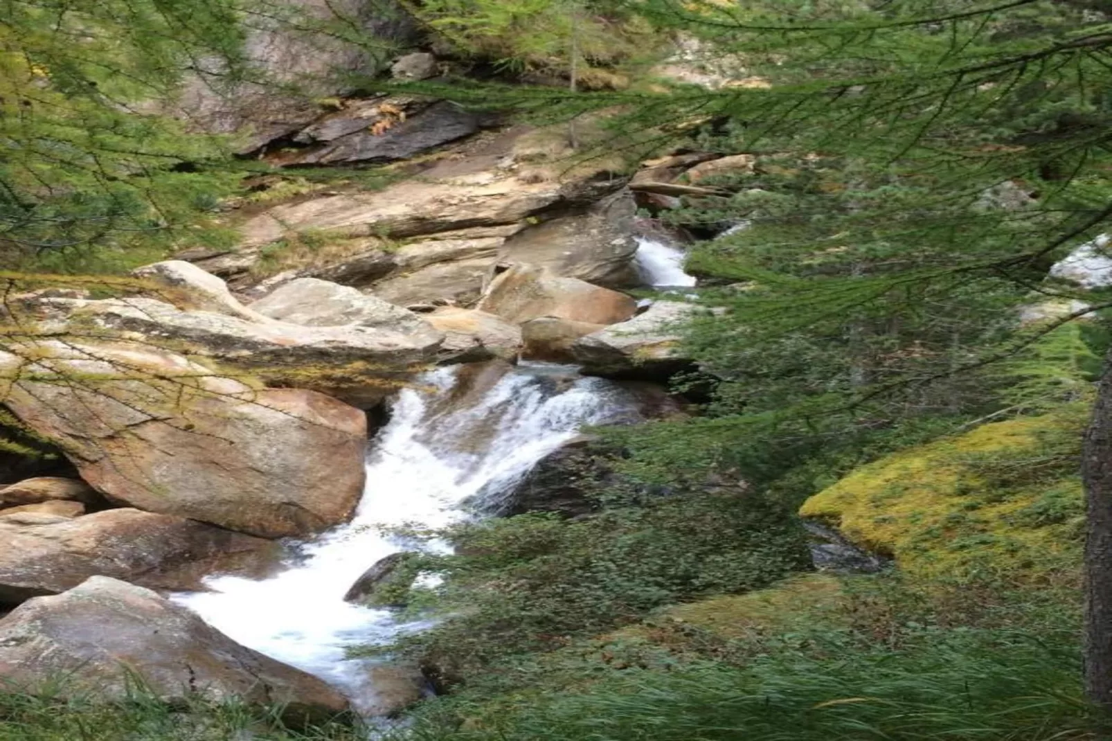 Chalet Sunstar große Wohnung-Gebieden zomer 20km