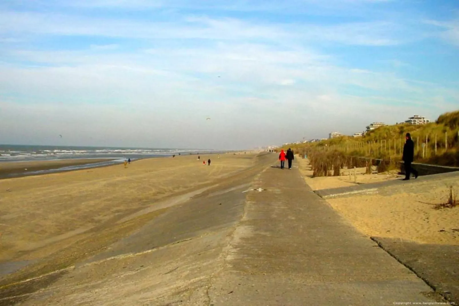 COSTANZA - 0301-Gebieden zomer 1km